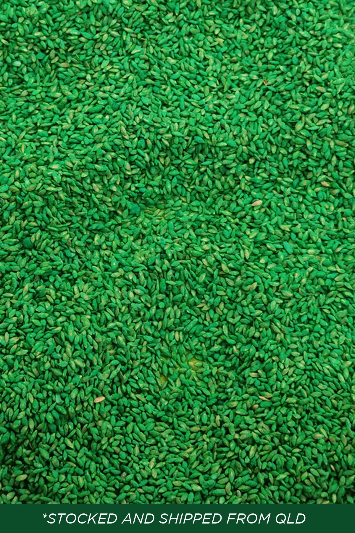 Couch Seed 1kg Lawnpride Australia