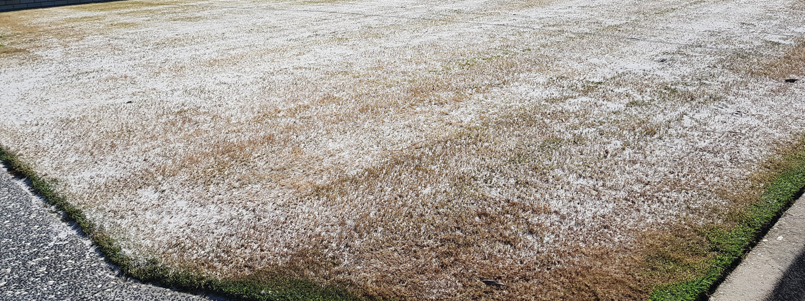 Top Dressing Lawnpride Australia