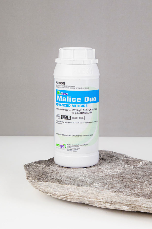 Indigo Malice Duo 1L