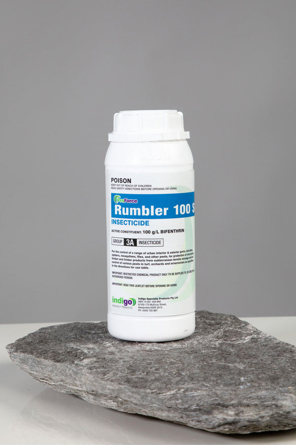 Indigo Rumbler 100SC
