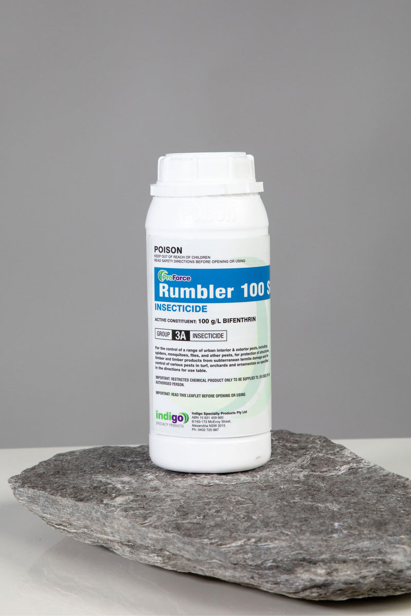 Indigo Rumbler 100SC