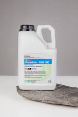 Indigo Rumbler 100SC