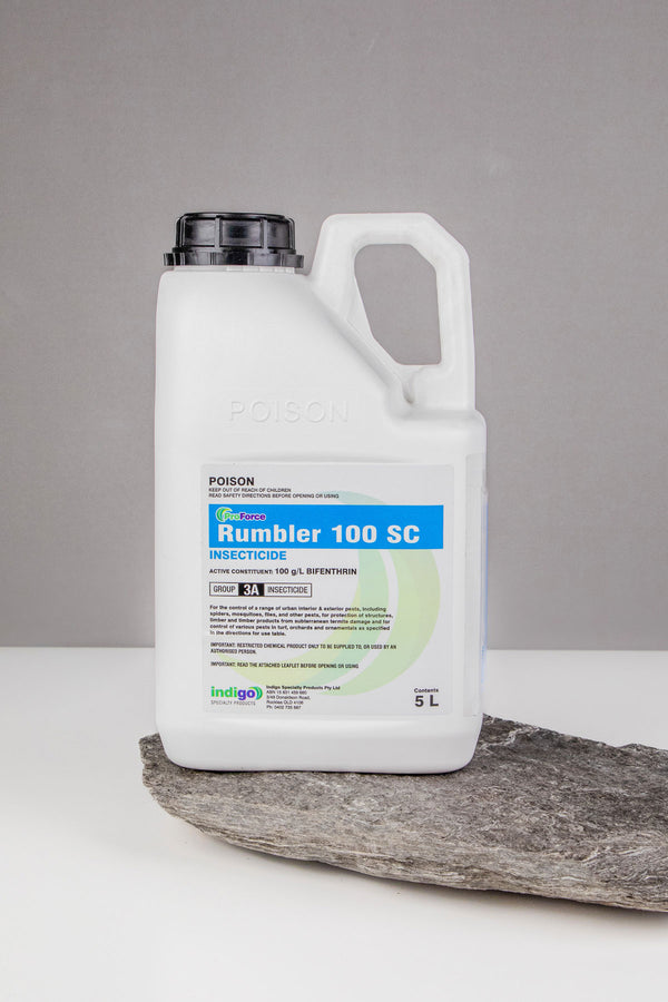 Indigo Rumbler 100SC