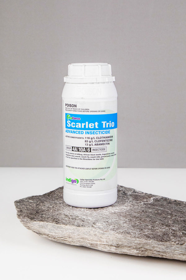 Indigo Scarlet Trio 1L