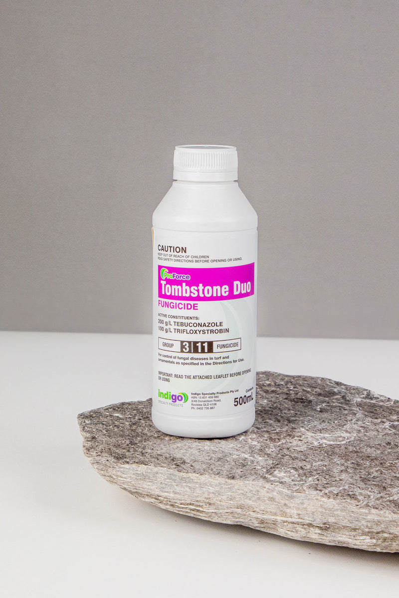 Indigo Tombstone Duo