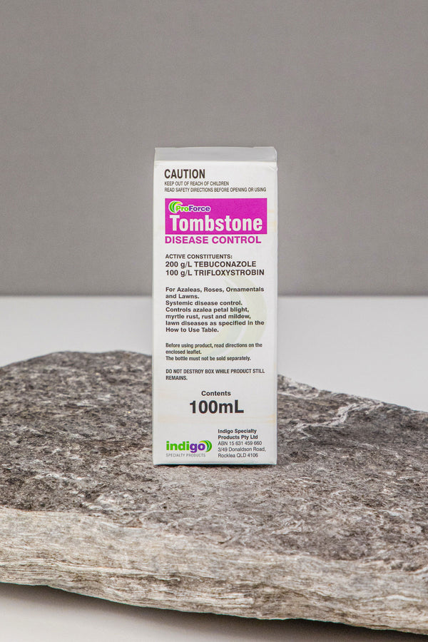 Indigo Tombstone Duo